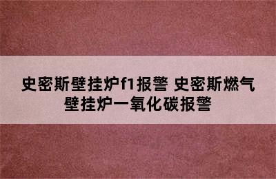 史密斯壁挂炉f1报警 史密斯燃气壁挂炉一氧化碳报警